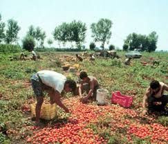 Lavoro nero