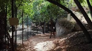 Fiorisce il giardino dei pensieri