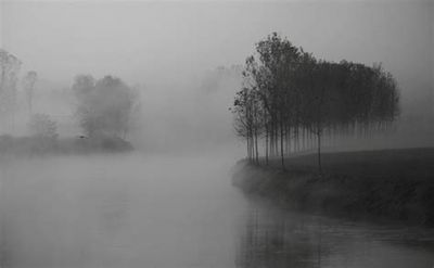 La nebbia