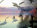 Sull'isola felice