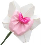 Il fiore di carta