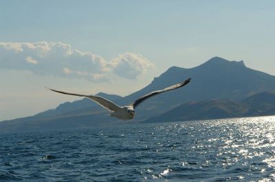 La bellezza salverà il mondo