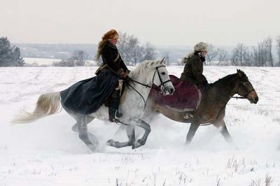 Cavallo cosacco