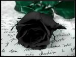 La rosa dell'addio