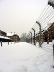 Neve ad Auschwitz