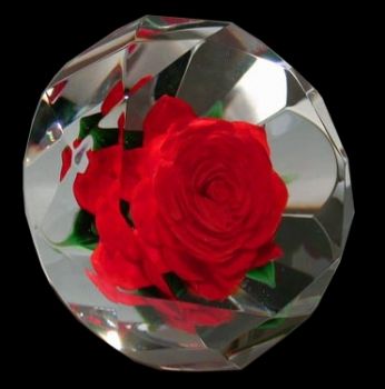Rose di diamante