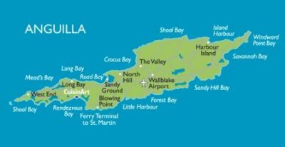 Anguilla di citt