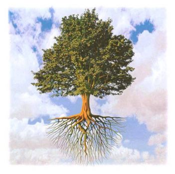 L'albero della Vita