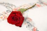 Una rosa per te