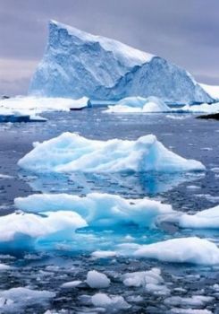 29 dicembre 2006 il ghiaccio dell'antartide si  gi riformato 50 volte  
