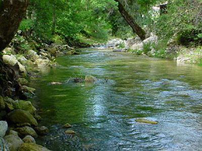 Il fiume e le ceneri