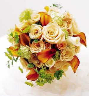 Collante d'amore