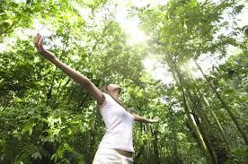 Un eco di richiamo