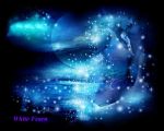 Frugo fra il bagliore delle stelle