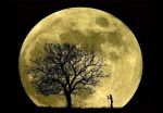 La luna dell'amante