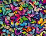 L'aiuola delle farfalle