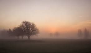 Oggi la nebbia  quasi un incendio