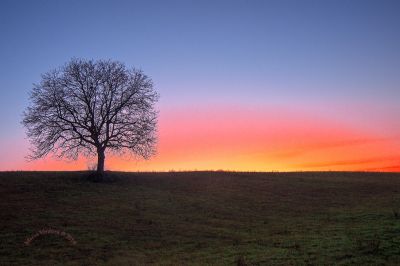 Crepuscolo dell’anima