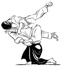 I percorsi de l'Aikido  