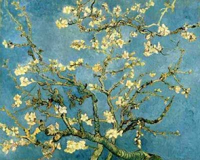Mandorli in fiore di Van Gogh