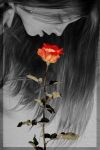 La rosa