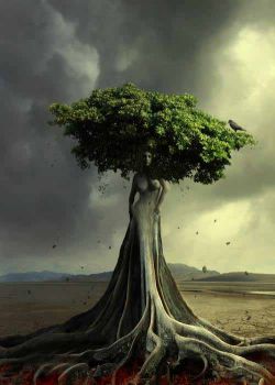 Un albero, una vita