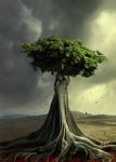 Un albero, una vita