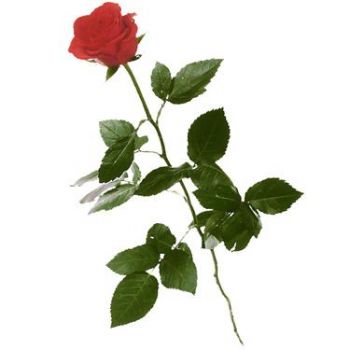 Era gi amore