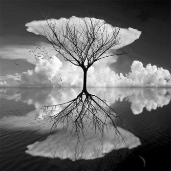 Il Silenzio