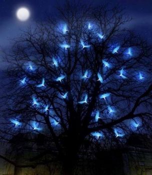 Insomnia