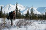 Solitario, viaggi intorno al mondo