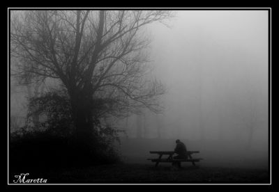 Umido silenzio  
