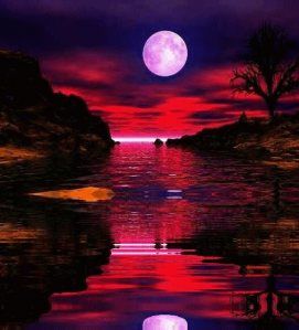 La luna canter per noi