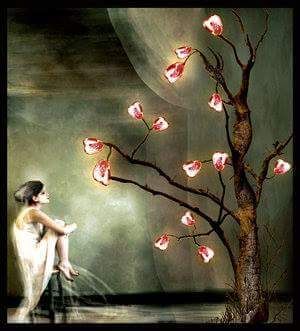 Cuore ribelle