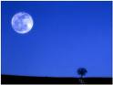 Compagna luna