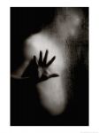 … Timide attenzioni…