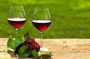 Il Brunello e il Barolo