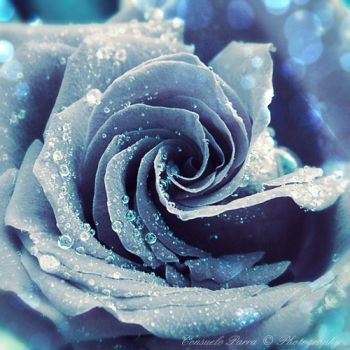 Sinestesia d'Amore