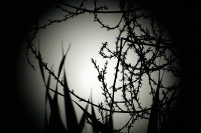 Il sonno che divora