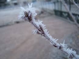 La neve imbianca il cammino (sonetto)