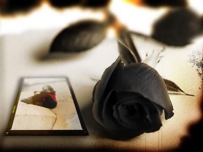 Amor Em Desatino