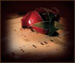 Quanto il Tuo Amore Silenzi