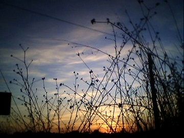 Nel mio momento ( sera)