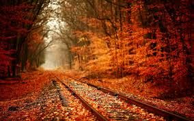 L' autunno, sai pap,  sempre lo stesso
