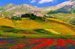 Elegia d' amore sull'Appennino