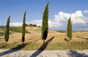 Torna l'incanto