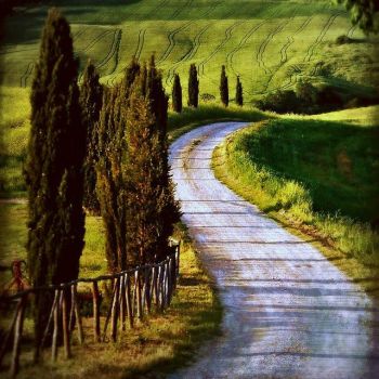 Colli di Toscana