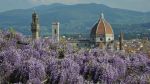 Firenze nella pioggia di primavera
