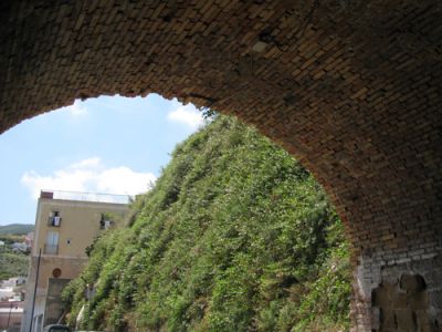 Il muro dei capperi  