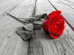 I silenzi dell'amore